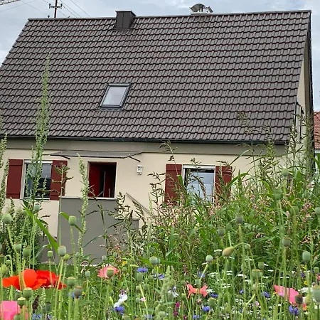 Ferienhaus Bei Lauingen, Mit Sauna Und Gartenlounge Veitriedhausen Exterior foto